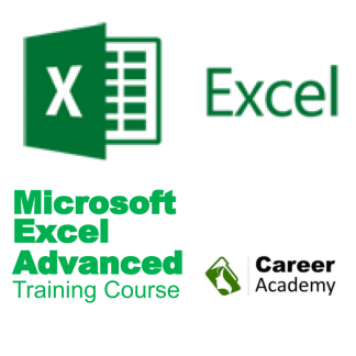 Workface the Career Academy Microsoft Excel Advanced Certificate Short Course Training - logo